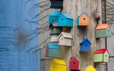 CSMC at the People’s Commission and what we said