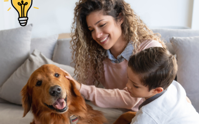 Rachael’s Brilliant Idea